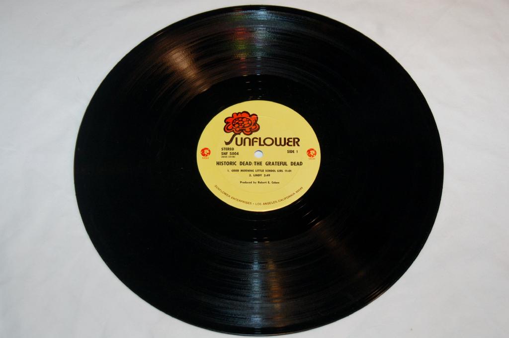 Grateful Dead - Historic Dead