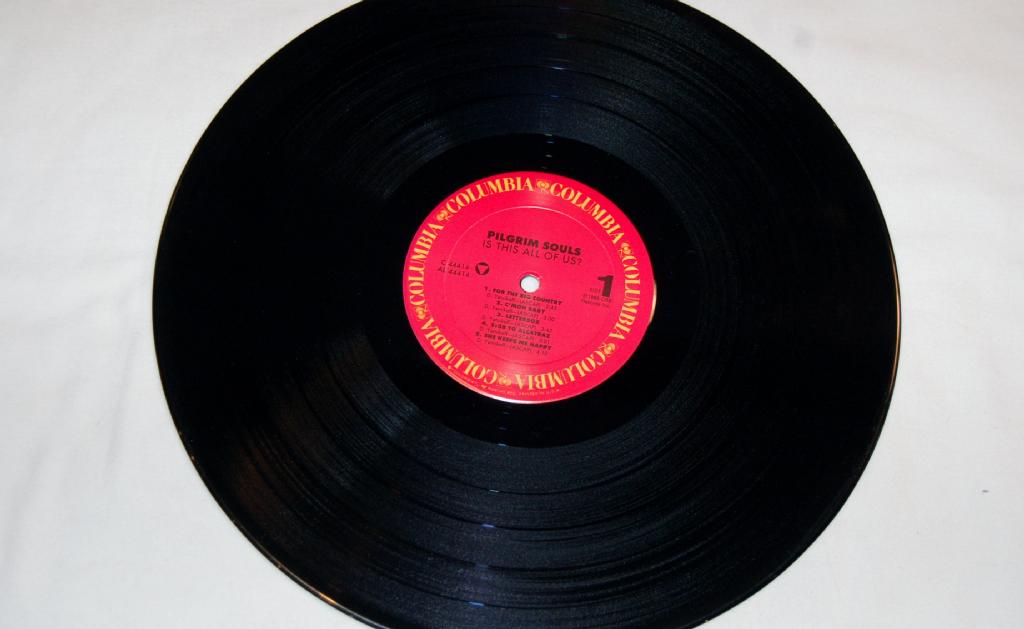 Pilgrim Souls - Is This All Of Us?