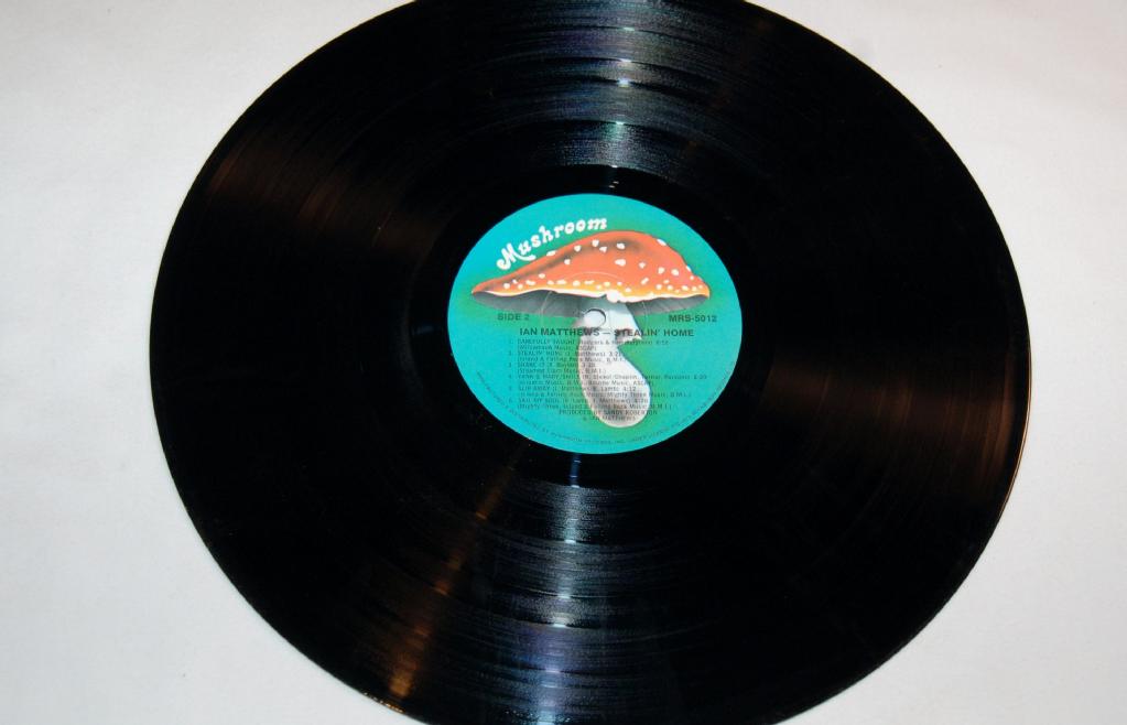 Matthews, Ian - Stealin' Home