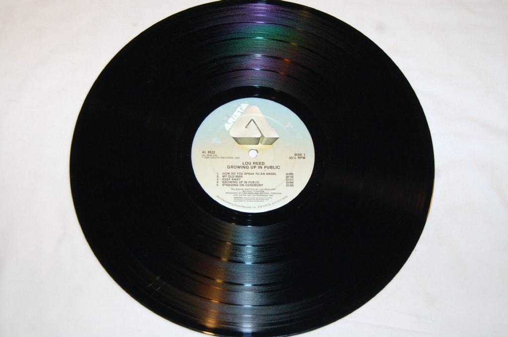 Reed, Lou - Growing Up In Public