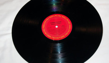 Tutone, Tommy - Tommy Tutone 2
