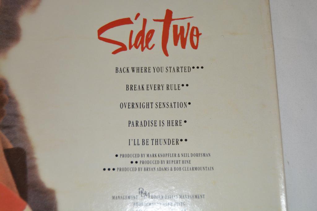 Turner, Tina - Break Every Rule