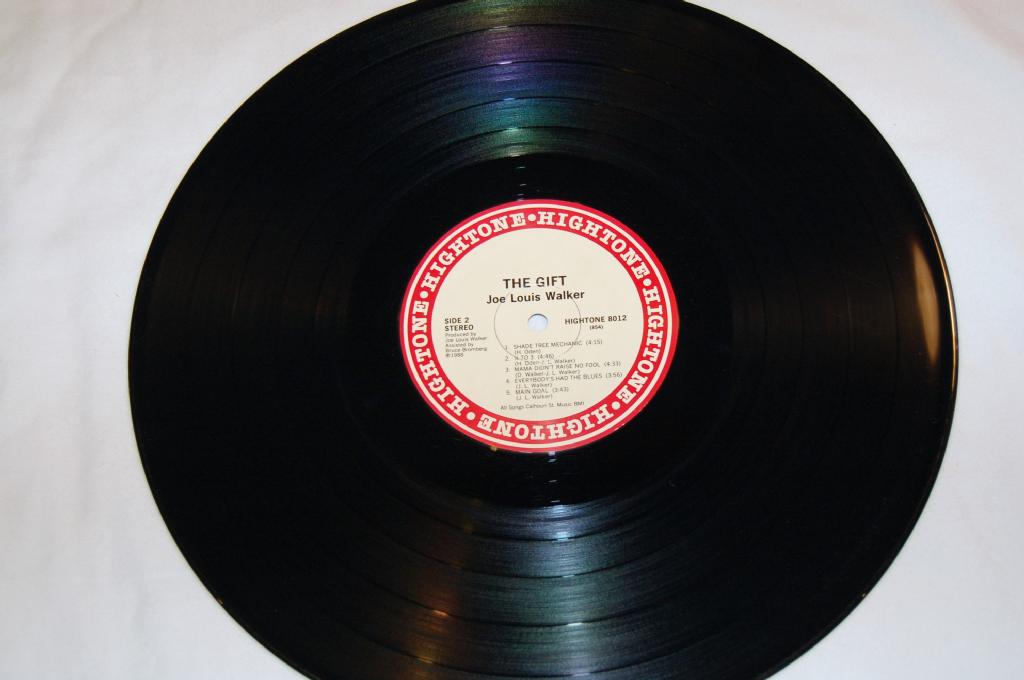 Walker, Joe Louis - The Gift