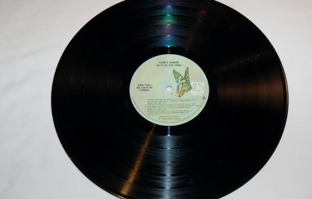 Simon, Carly - Boys In The Trees