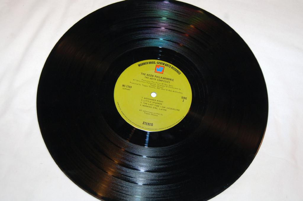 Neon Philharmonic, The - The Moth Confesses