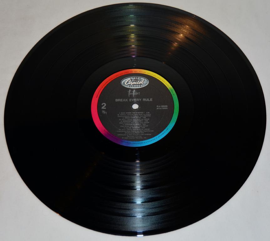 Turner, Tina - Break Every Rule