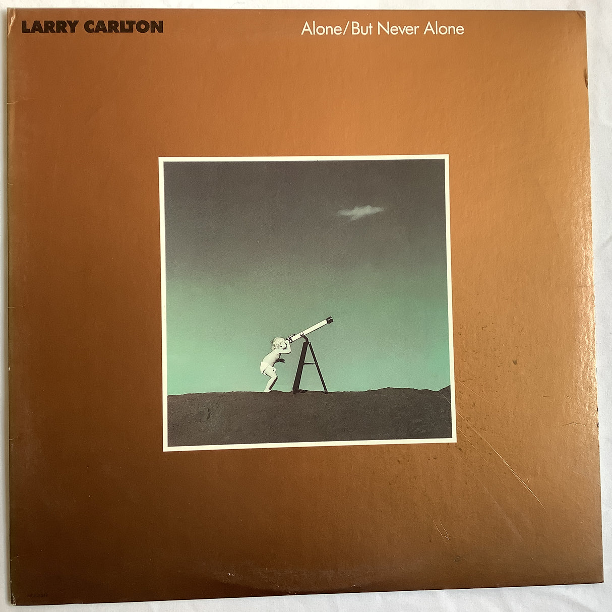 Carlton, Larry - Alone/But Never Alone