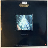 Cure, The - Fascination Street