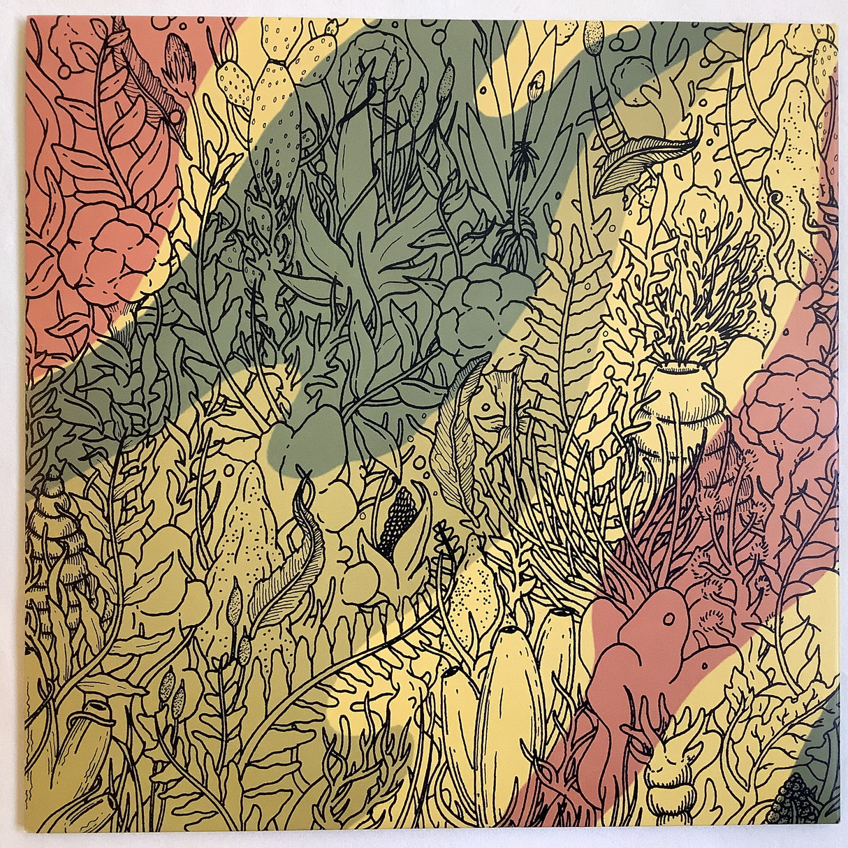 Various - VM - Shifting States
