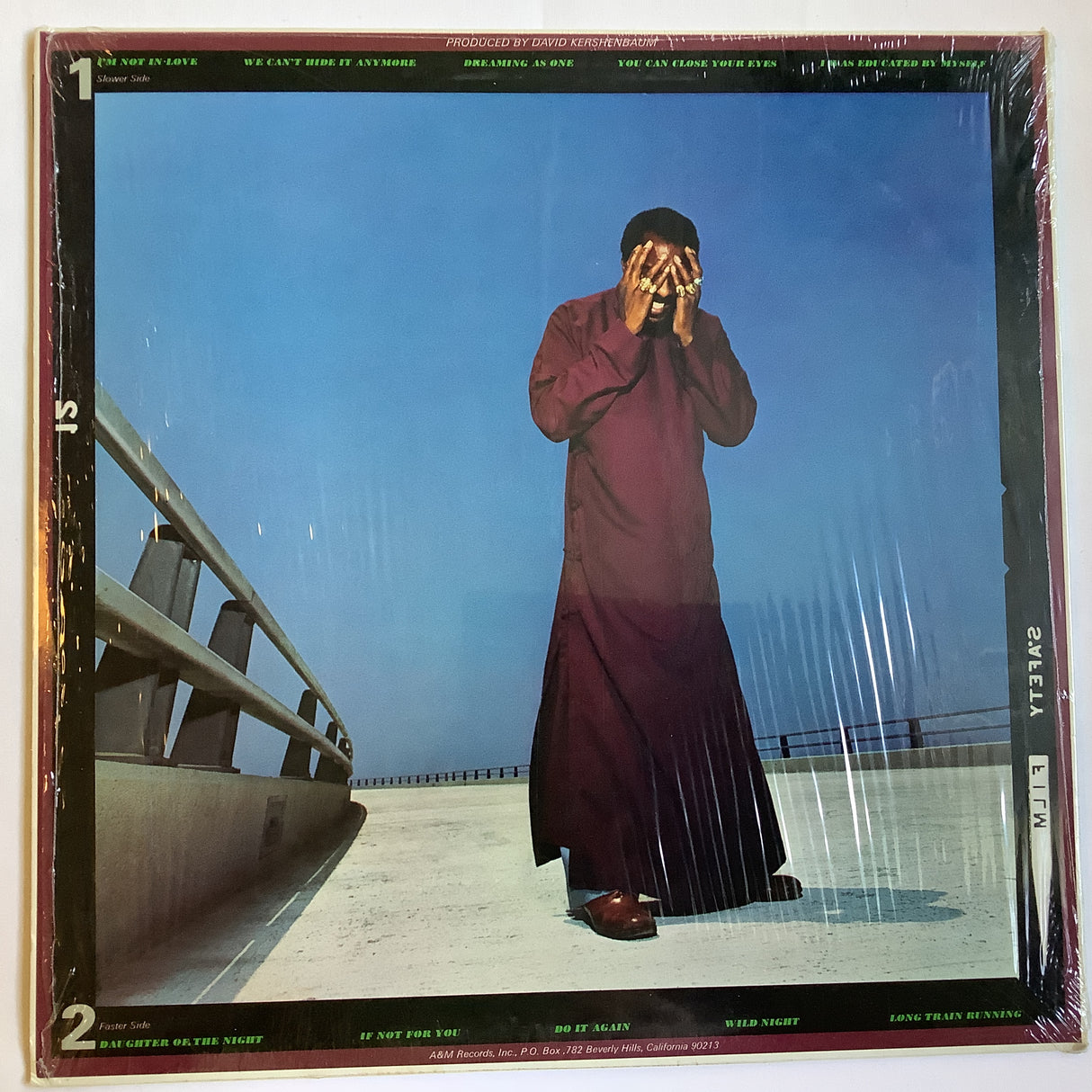 Havens, Richie - The End Of The Beginning