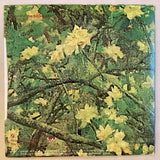 Echo & The Bunnymen - Back Of Love