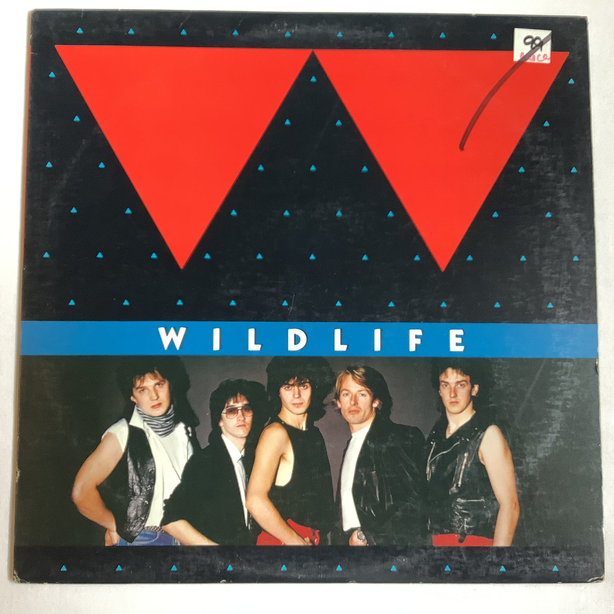 Wildlife - Wildlife