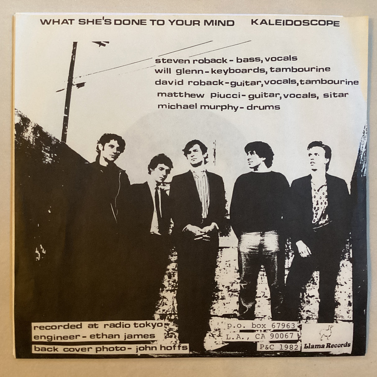 Rain Parade - What She's Done To Your Mind