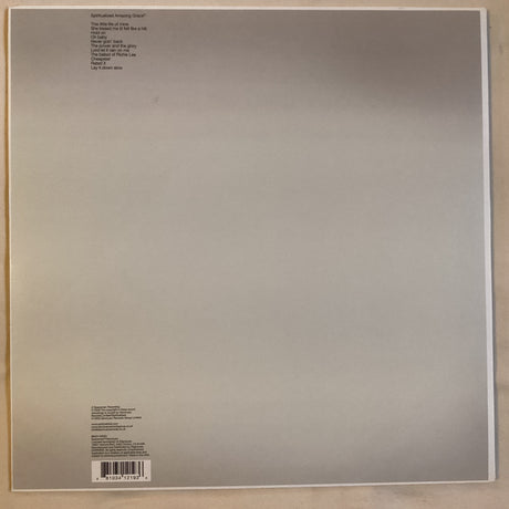 Spiritualized - Amazing Grace