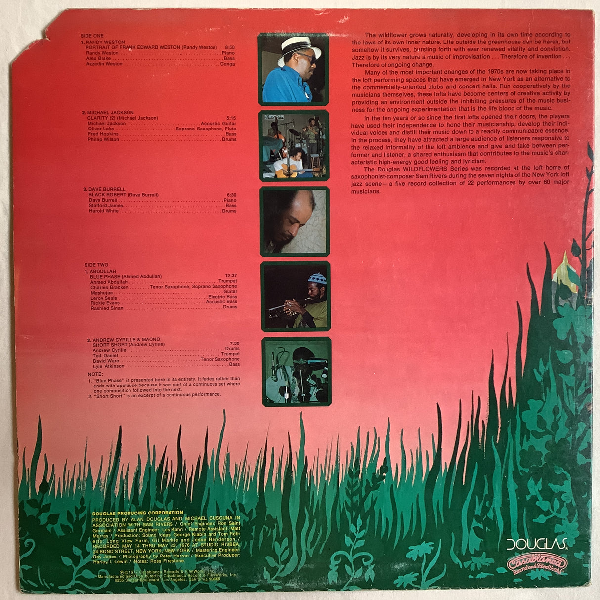 Various - Wildflowers 3