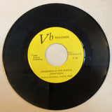 Vertebrats, The - Jackie's Gone