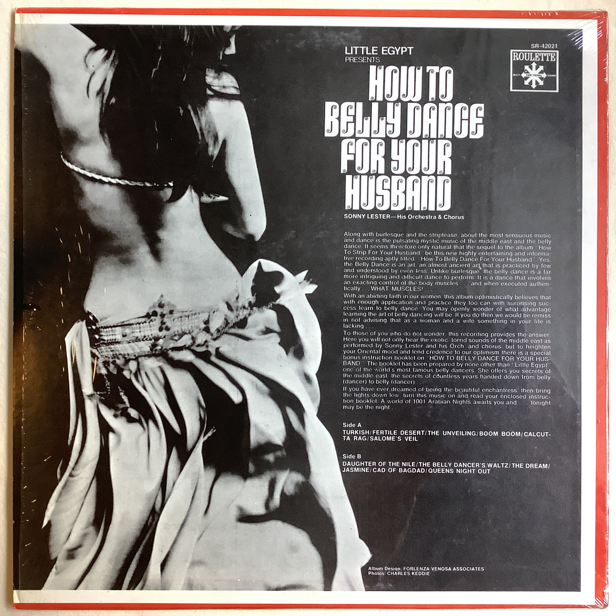 Miscellaneous - How To Belly Dance For Your Husband