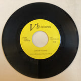 Vertebrats, The - Jackie's Gone
