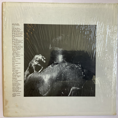 Waters, Muddy - After The Rain