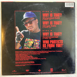 Boogie Down Productions - Why Is That?