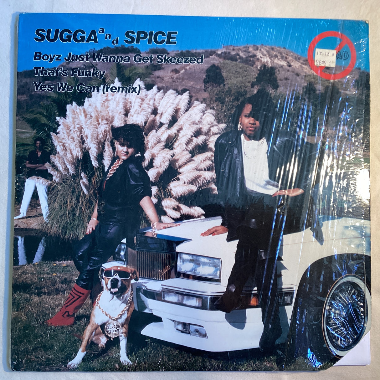 Sugga and Spice - Boys Just Wanna