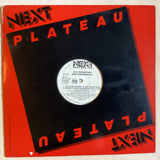 MC Sugar Ray - Knock Em Out