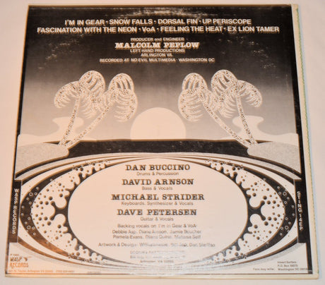 Insect Surfers - Wavelength