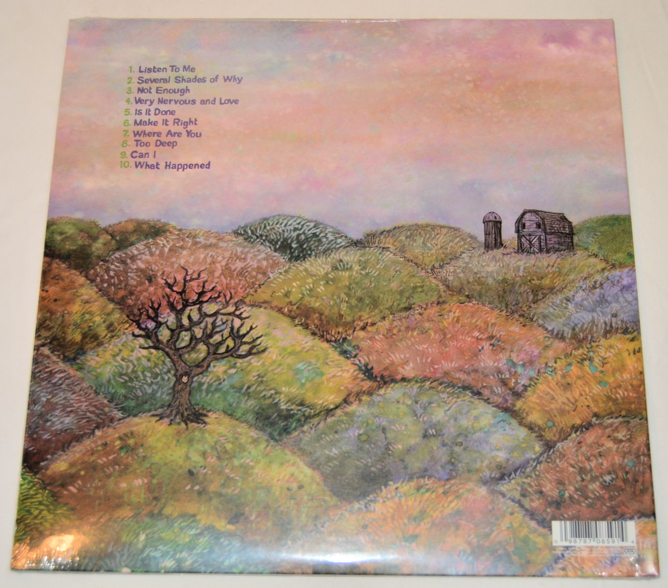 Mascis, J. - Several Shades Of Why