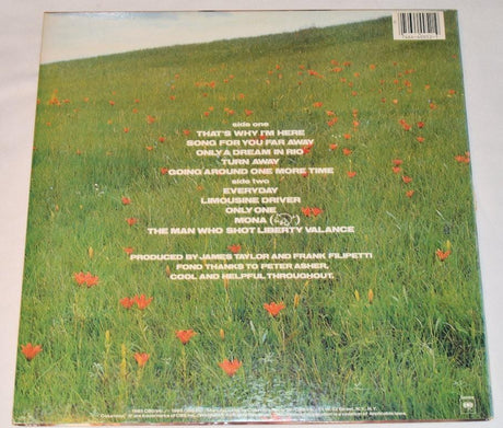 Taylor, James - That's Why I'm Here