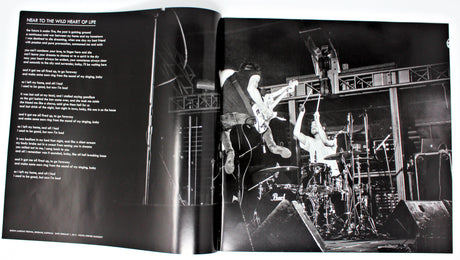 Japandroids - Near To The Wild Heart Of Life