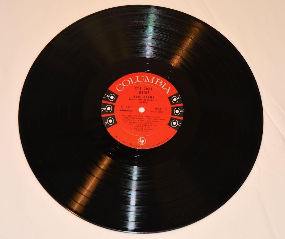 Adams, Jerri - It's Cool Inside