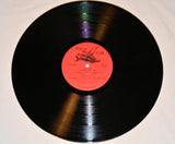 Page, Jim - Visions In My View