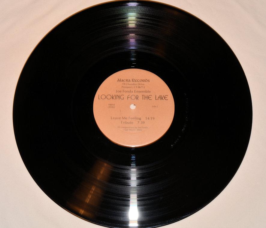 Fonda, Joe - Looking For The Lake