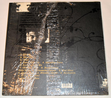 Spencer, Jon Blues Explosion - Now I Got Worry