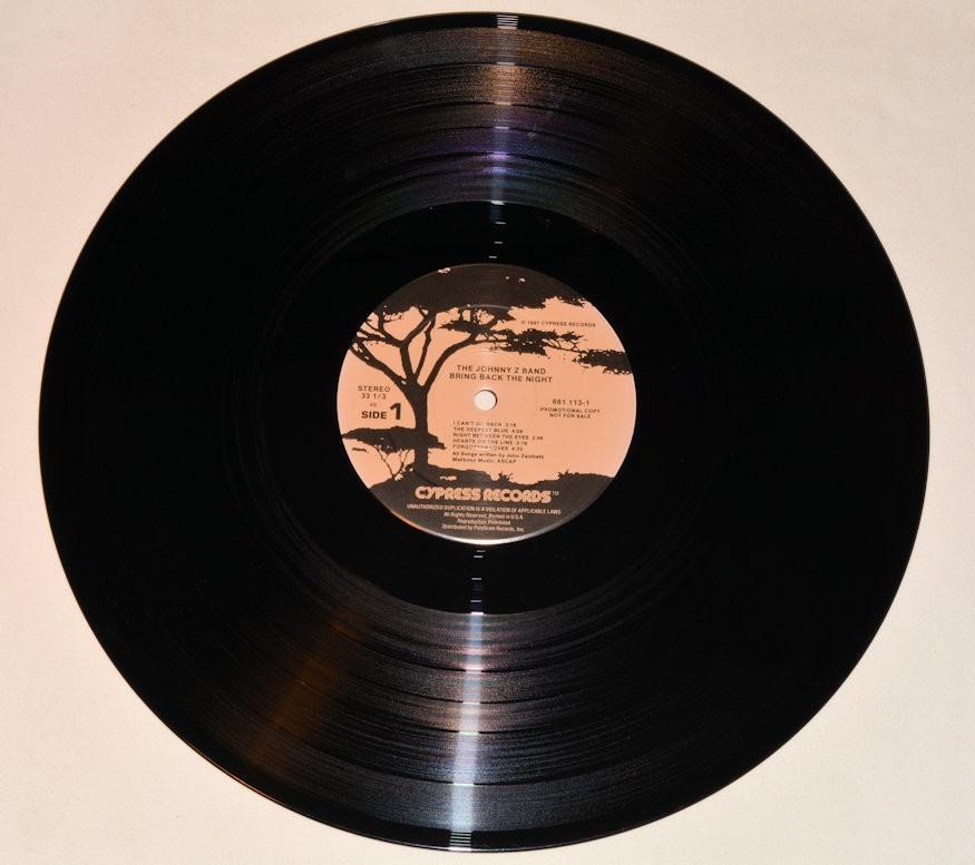 Johnny Z - Bring Back The Night