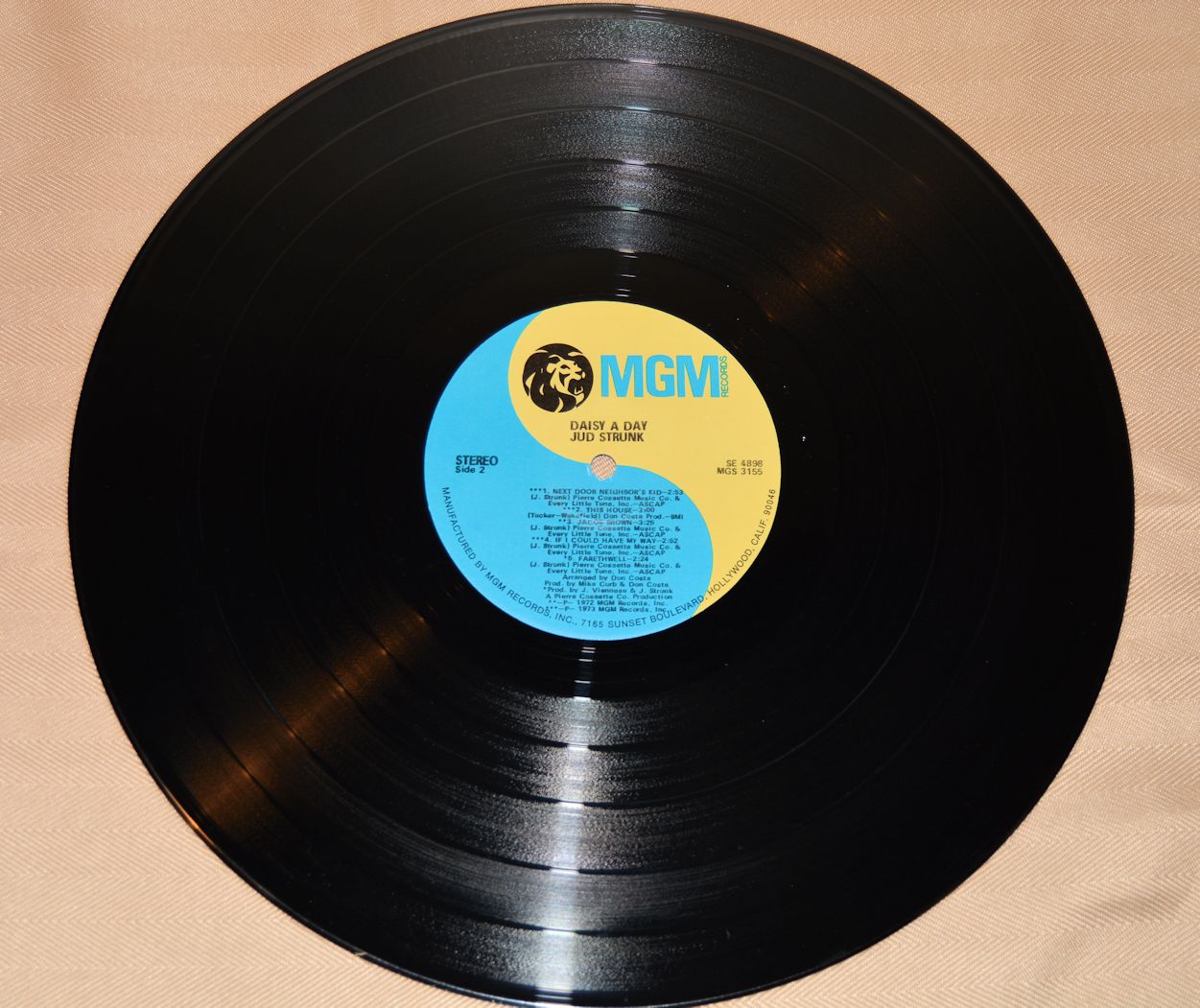 Strunk, Jud - Daisy A Day