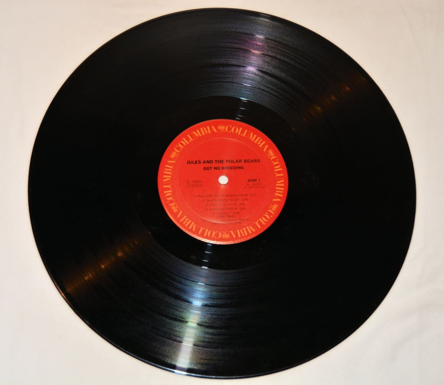 Jules & The Polar Bears - Got No Breeding