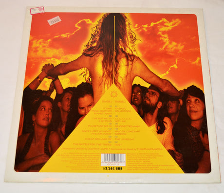 Cope, Julian - Interpreter