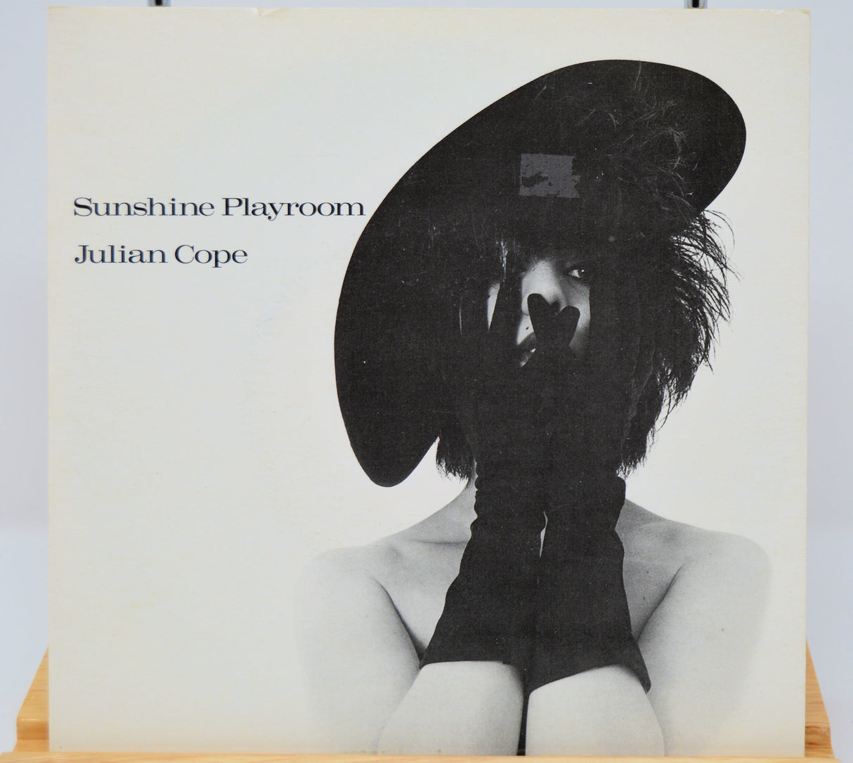 Cope, Julian – Sunshine Playroom