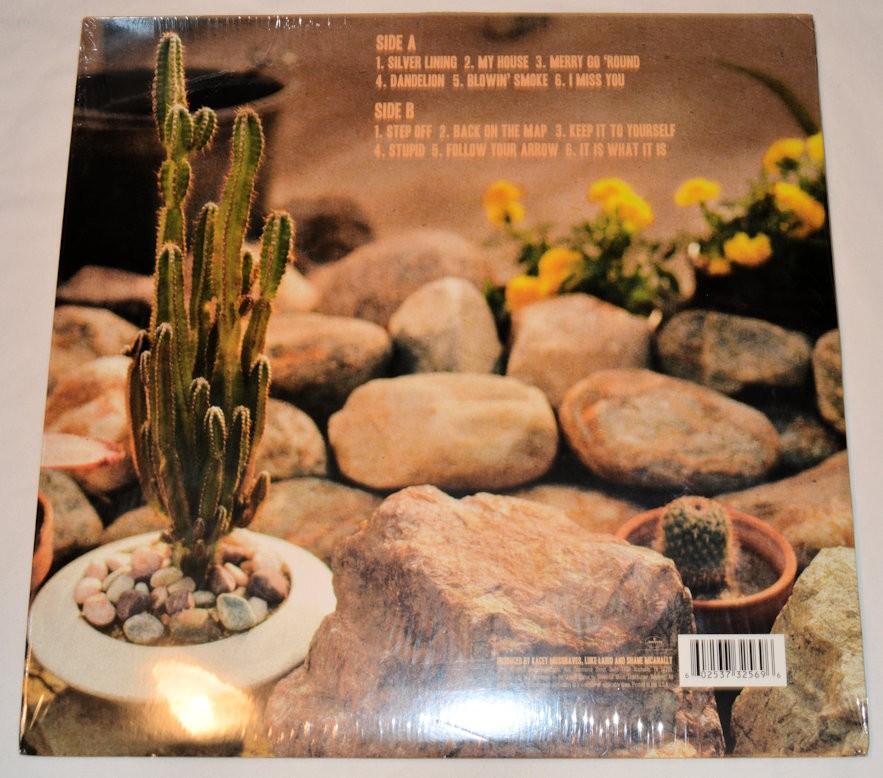 Musgraves, Kacey - Same Trailer Different Park