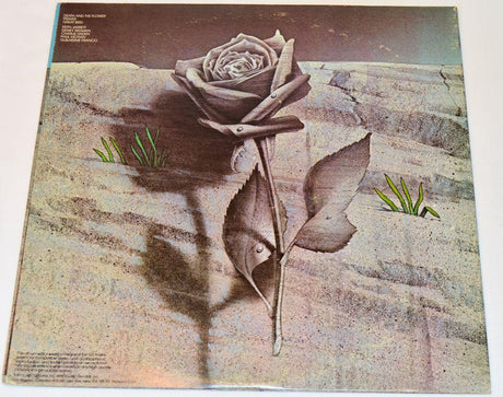 Jarrett, Keith - Death And Flower