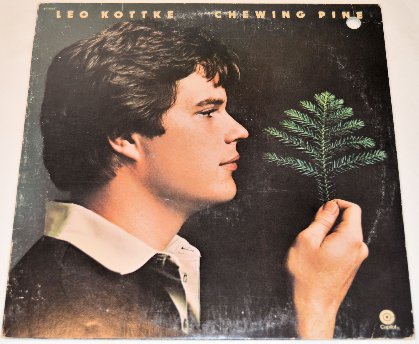 Kottke, Leo - Chewing Pine