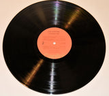 Kottke, Leo - Chewing Pine