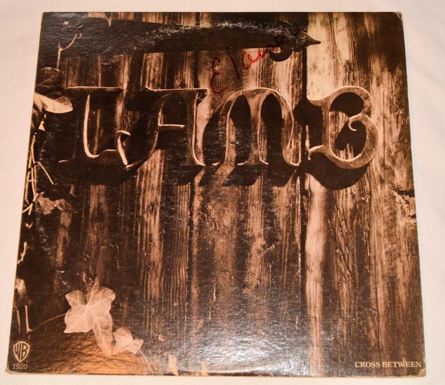 Lamb - Cross Between