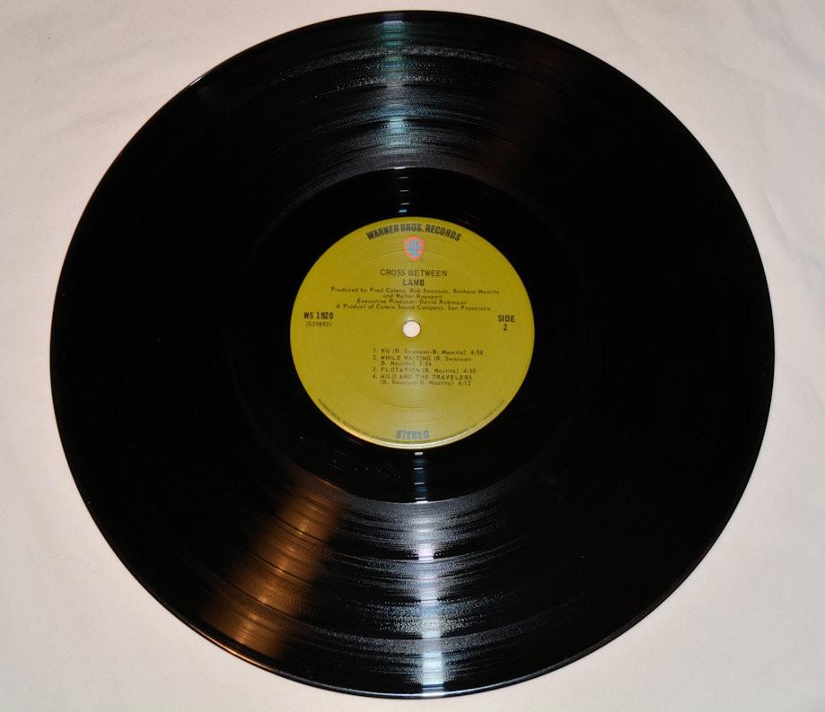 Lamb - Cross Between