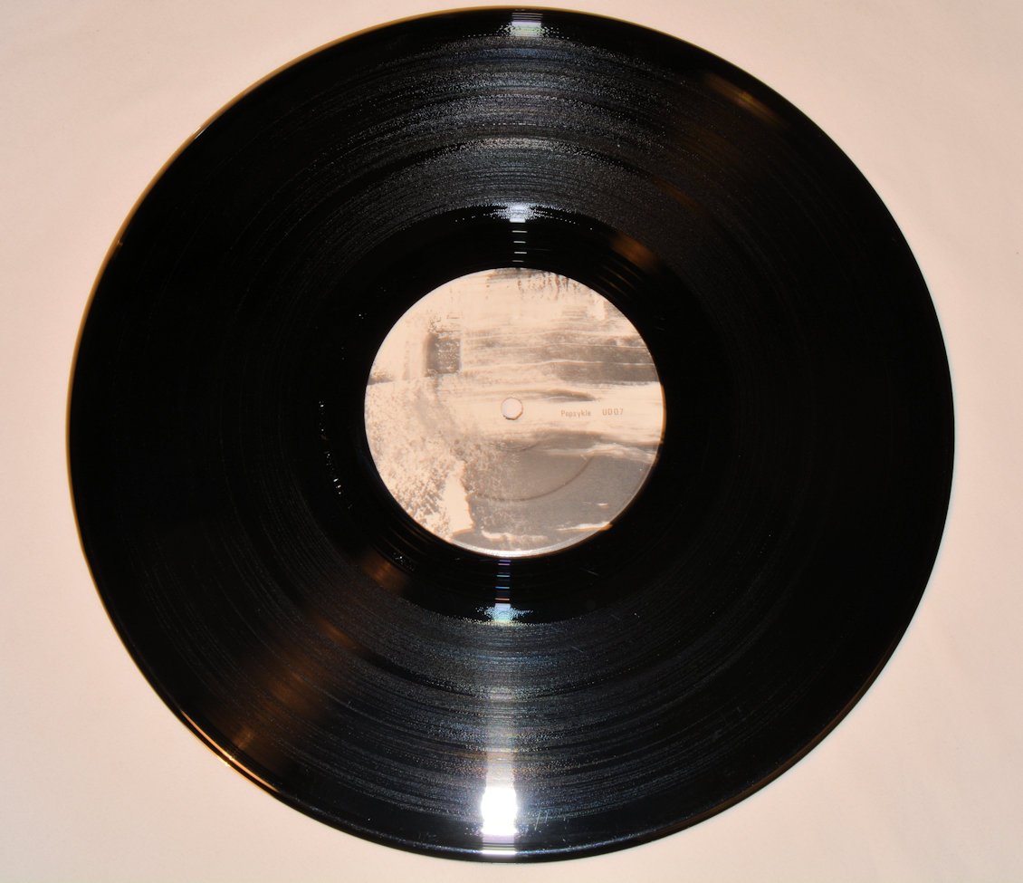 Lemon Kittens - Cake Beast