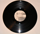 Lemon Kittens - Cake Beast