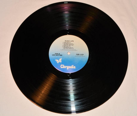 Kottke, Leo - Burnt Lips