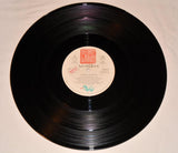 Levellers - 15 Years