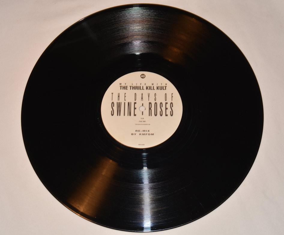 My Life With Thrill Kill Kult - Days Of Swine & Roses